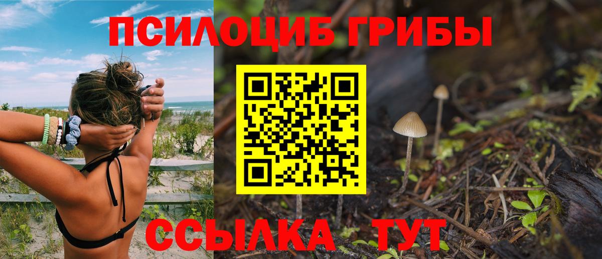 Псилоцибиновые грибы GOLDEN TEACHER Пушкино